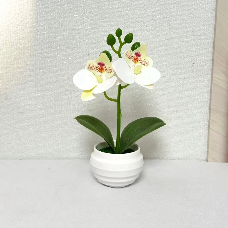 Lebensechte dekorative Orchideenpflanzenarrangement für die Wohnkultur