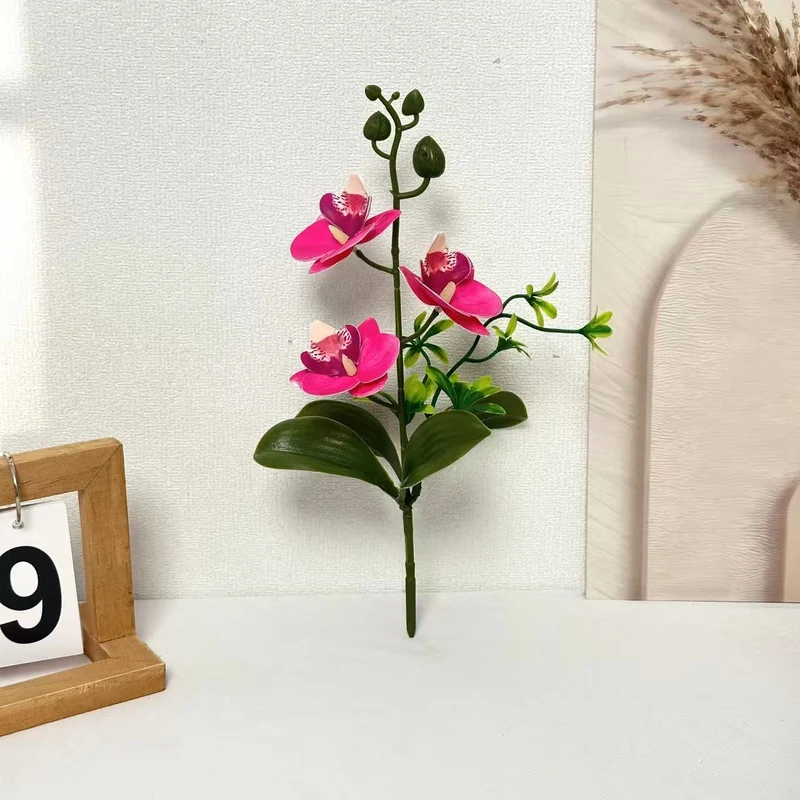 Elegante Orchideen Blumenarrangement