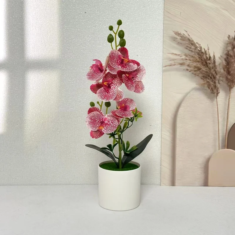 Elegante Orchideen Floral Centerpiece