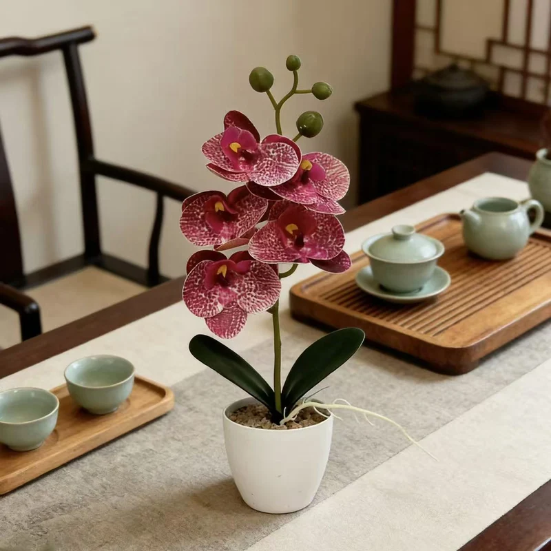 Elegante dekorative Orchideenpflanze für die Inneneinrichtung