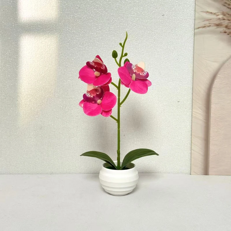 Elegante dekorative Orchideenpflanzenanordnung für die Wohnkultur