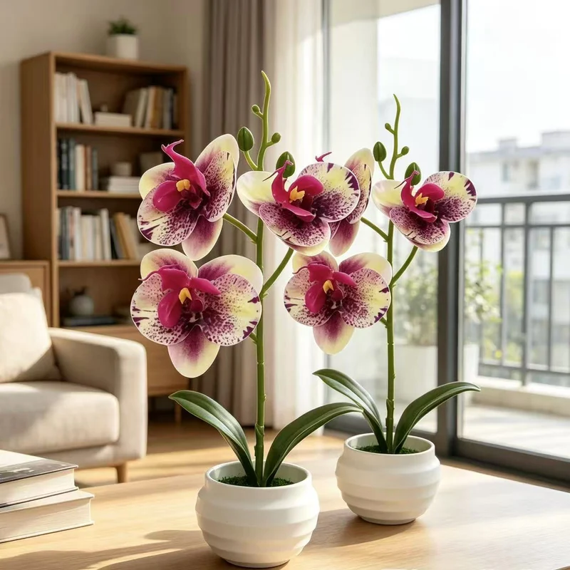 Elegante dekorative Orchideenpflanzenanordnung für die Wohnkultur