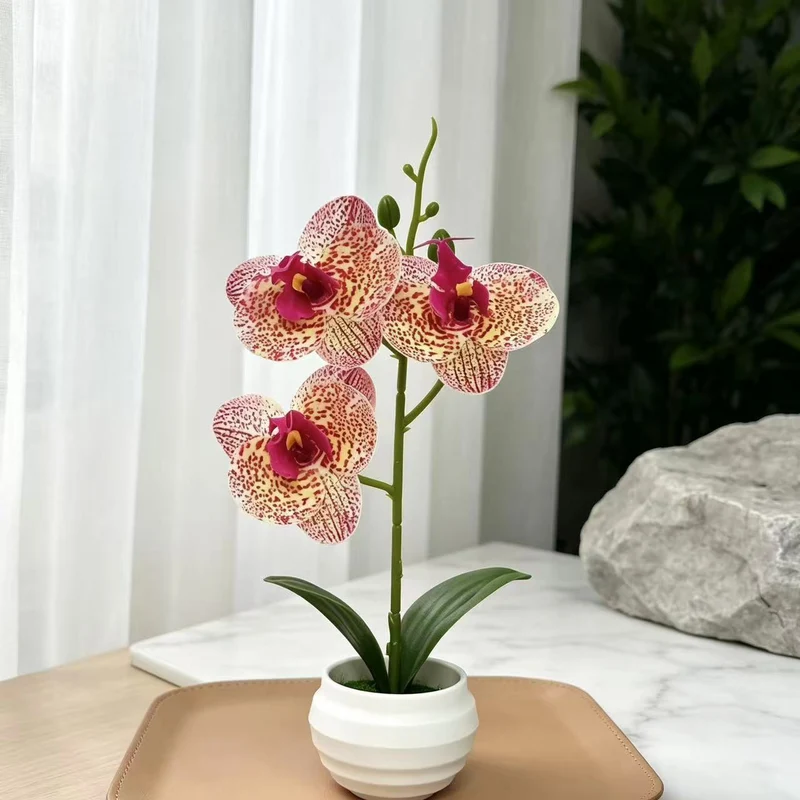 Elegante dekorative Orchideenpflanzenanordnung für die Wohnkultur