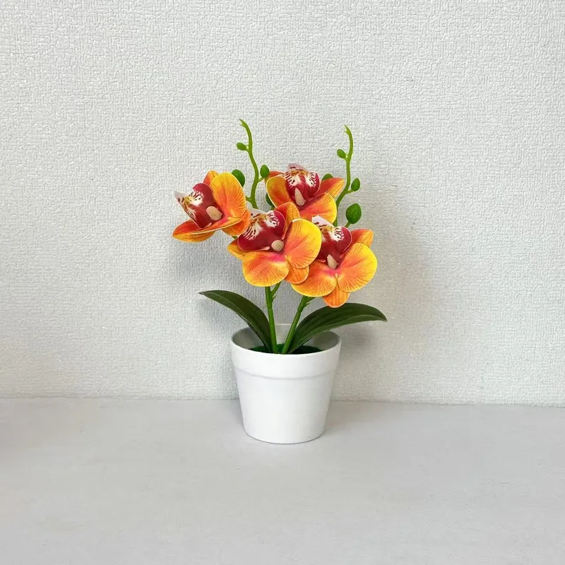 Elegante dekorative Orchideen-Blumenarrangement für die Wohnungseinrichtung