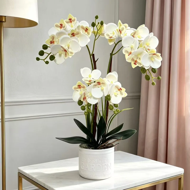 Dekorative Topfpflanzen-Orchideen-Anordnung für Tischdeko