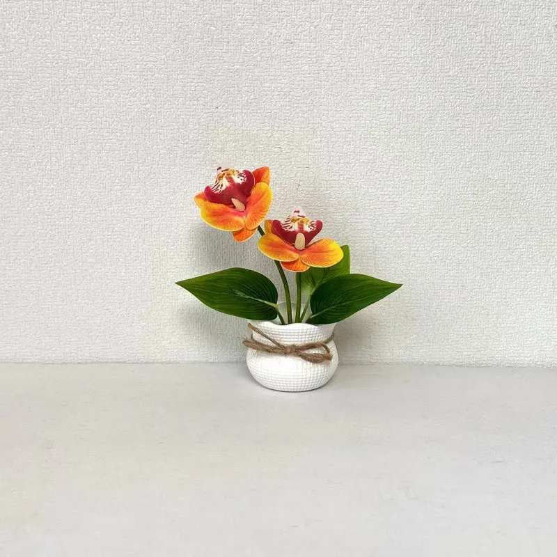 Dekorative Topf-Orchideen-Anordnung für die Innendekoration