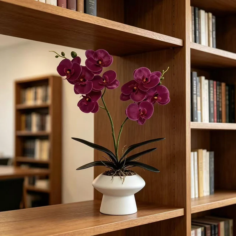 Dekorative Orchideenpflanze Tischmittelpunk