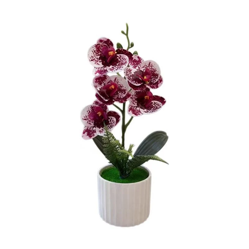 Dekorative Orchideenpflanzenanordnung 1790480742 für Dekoration