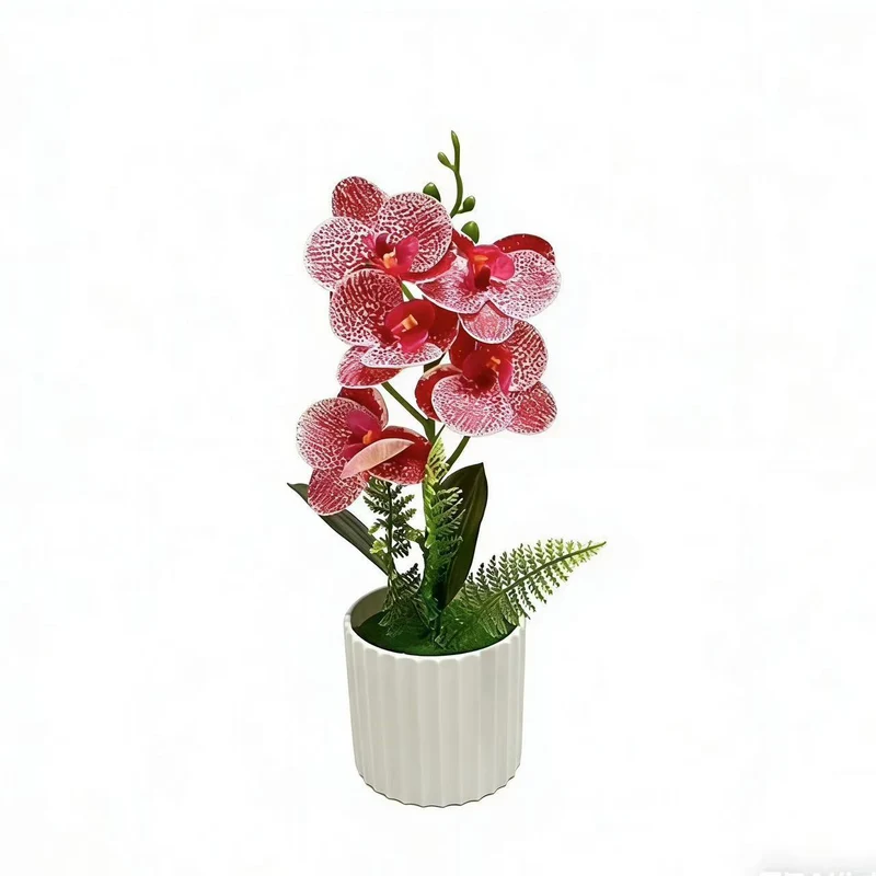 Dekorative Orchideenpflanzenanordnung 1790480742 für Dekoration