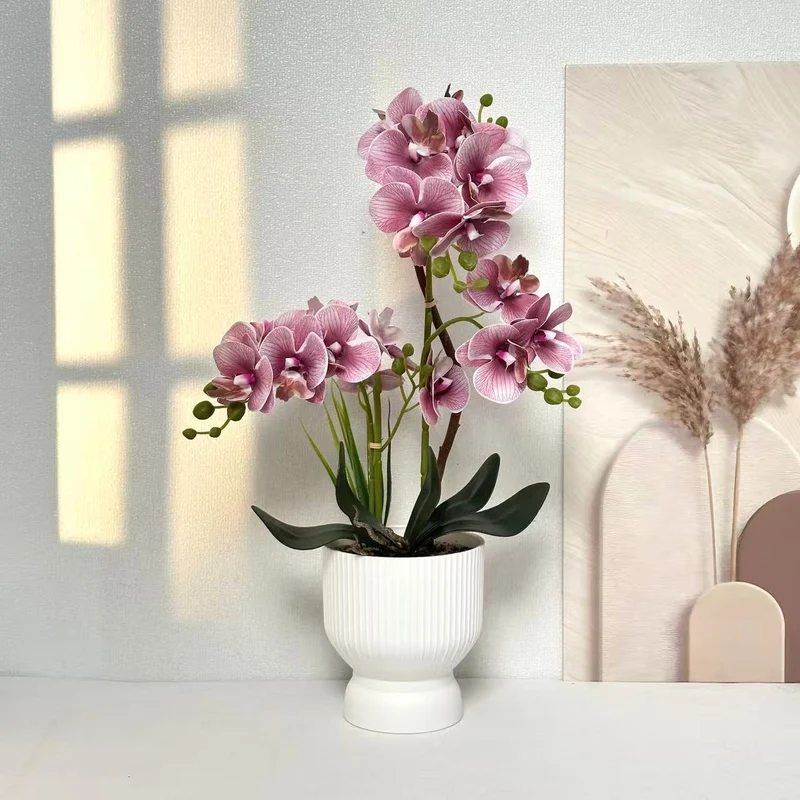 Dekorative Orchideenpflanzenarrangement 1790480695 für Dekor