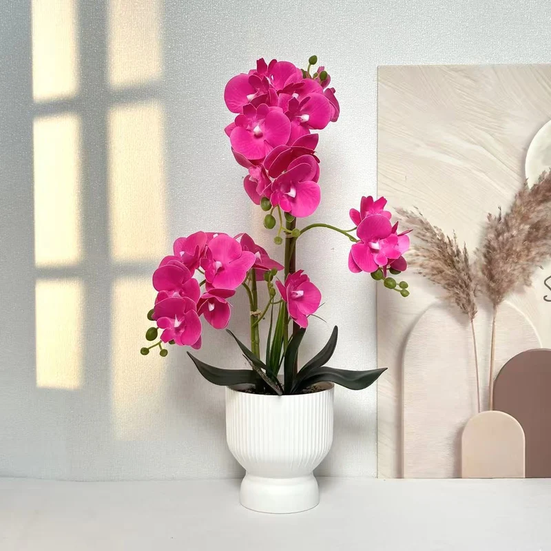 Dekorative Orchideenpflanzenarrangement 1790480695 für Dekor