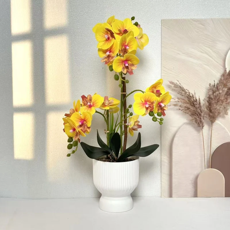 Dekorative Orchideenpflanzenarrangement 1790480695 für Dekor