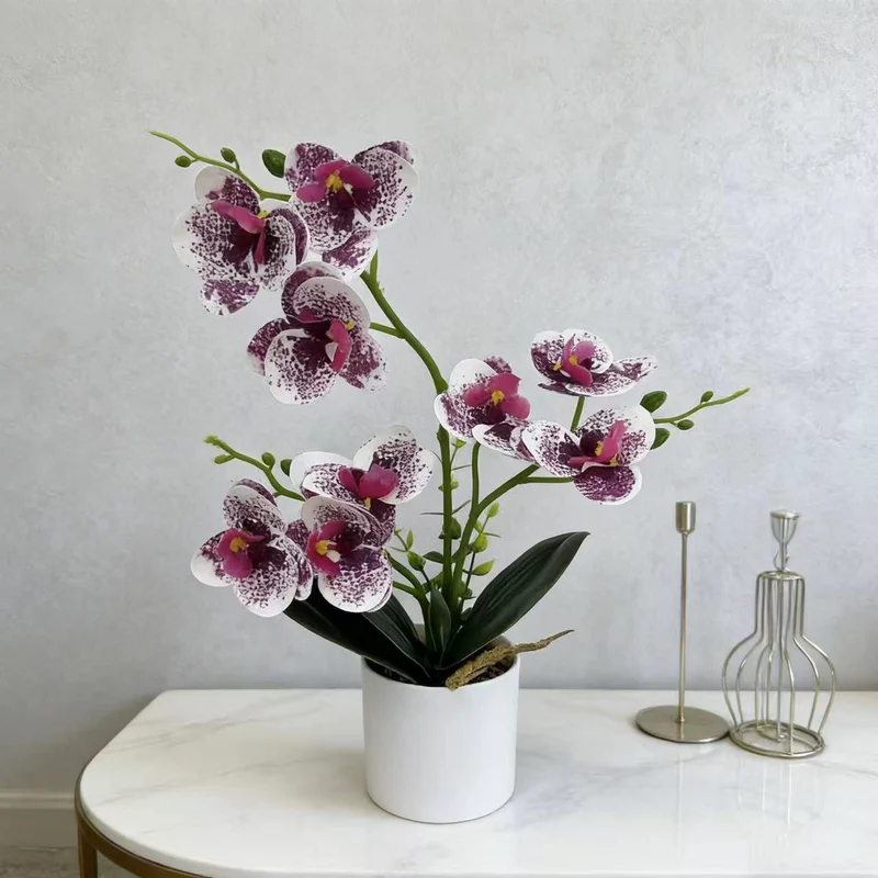 Dekorative Orchidee für die Wohnkulturanzeige