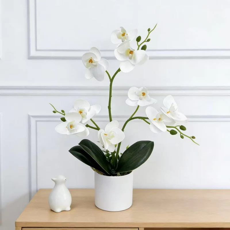 Dekorative Orchidee für die Wohnkulturanzeige