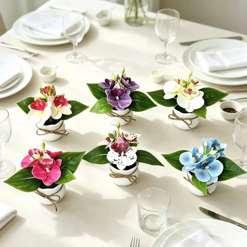 Dekorative Miniatur-Orchideen-Arrangement