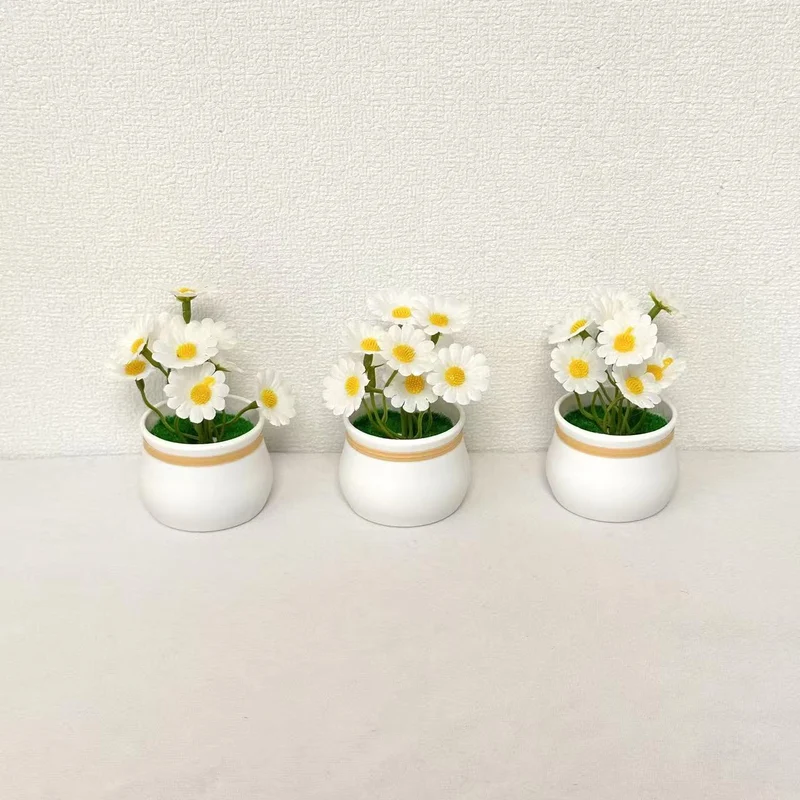 Dekorative Miniatur-Gänseblümchentöpfe