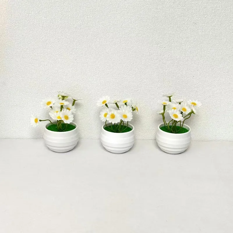 Dekorative Miniatur-Gänseblümchentöpfe