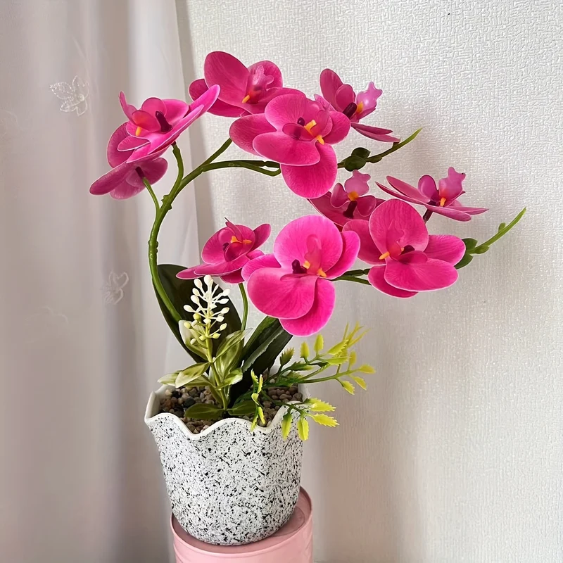 Dekorative florale Orchideenarrangement für die Wohnkultur