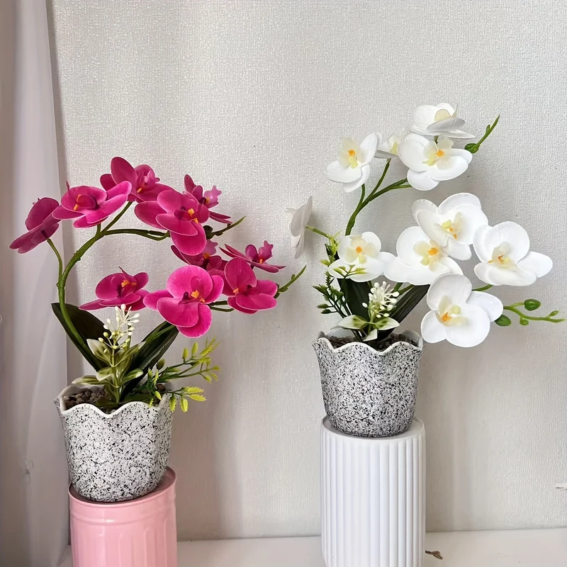 Dekorative florale Orchideenarrangement für die Wohnkultur