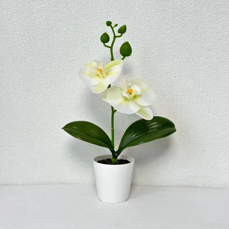 Dekorative Künstliche Orchideenpflanze für die Inneneinrichtung