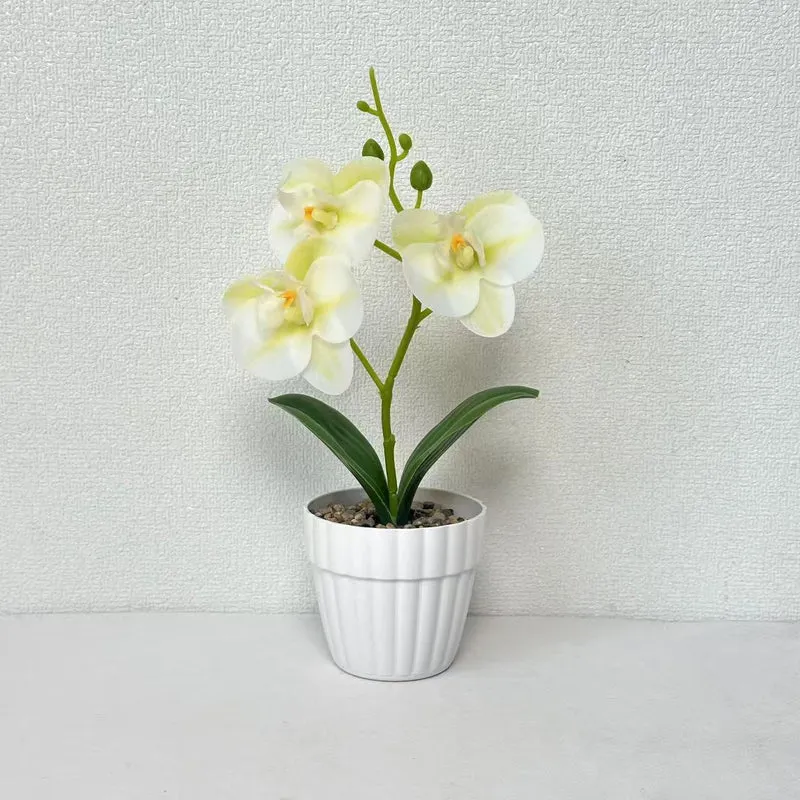 Dekorative Künstliche Orchideenarrangement für Dekorative Wohnraum Präsentation