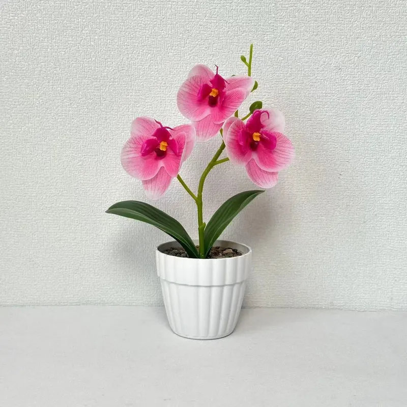 Dekorative Künstliche Orchideenarrangement für Dekorative Wohnraum Präsentation