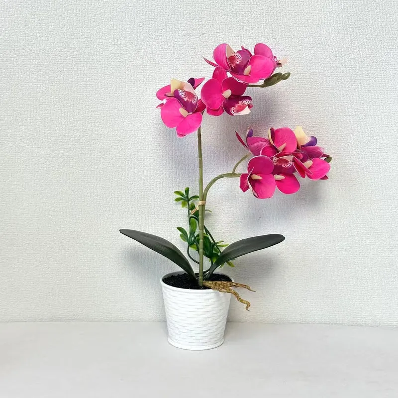 Künstliche Orchideenarrangement für dekorative Innenausstellung
