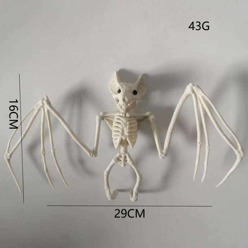 Anatomisches Lehrskelett