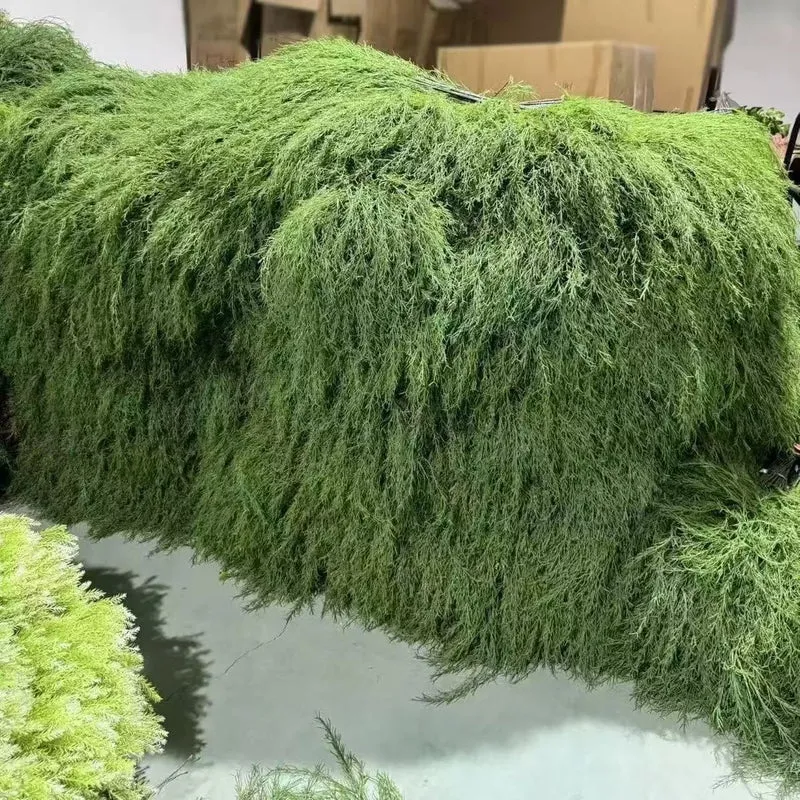 Lush Botanische Hängende Farn Dekoration