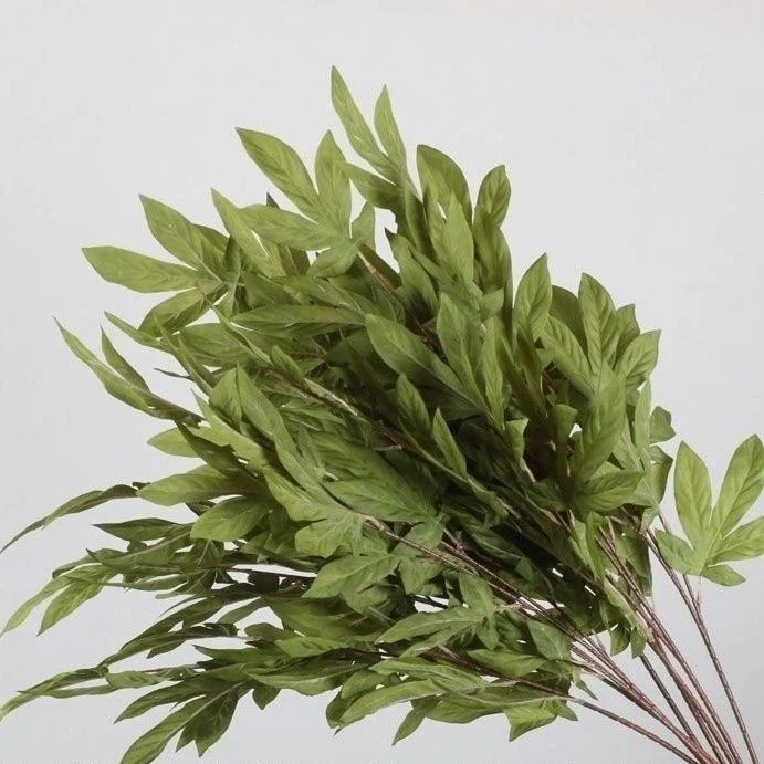 Elegante dekorative Blattstielanordnung