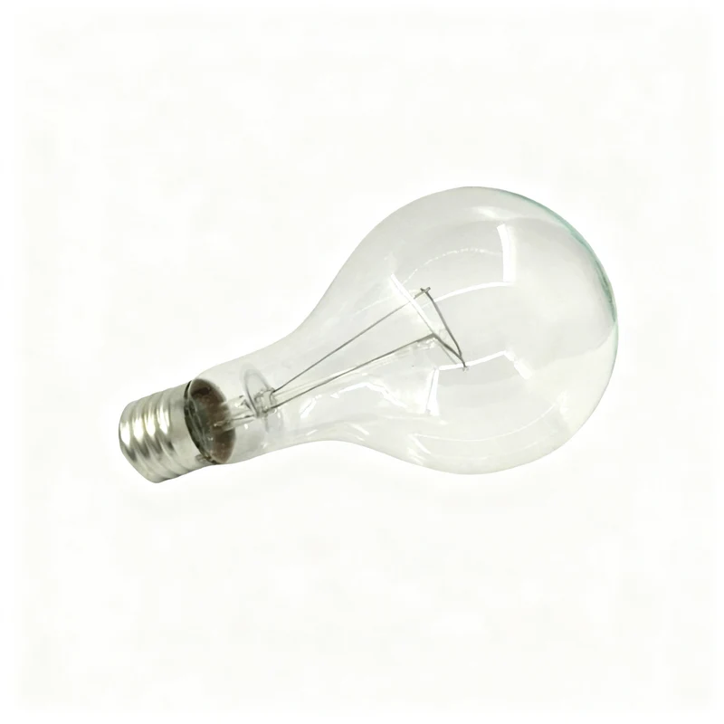 Glühlampe E40 Schraubsockel 110V/220V