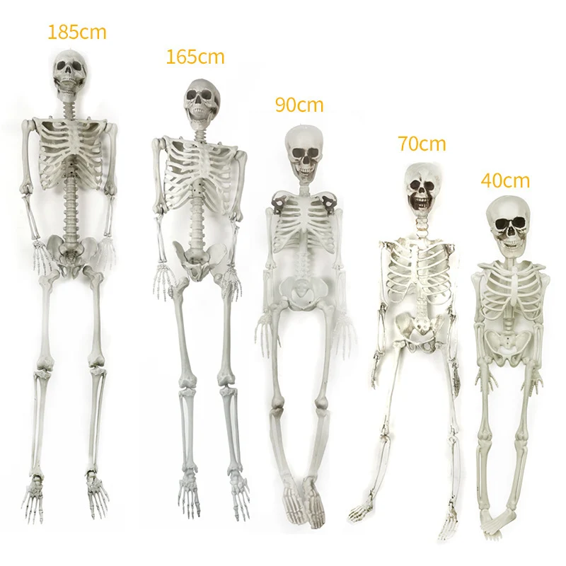 Realistische Dekorative Skelettfiguren Karnz